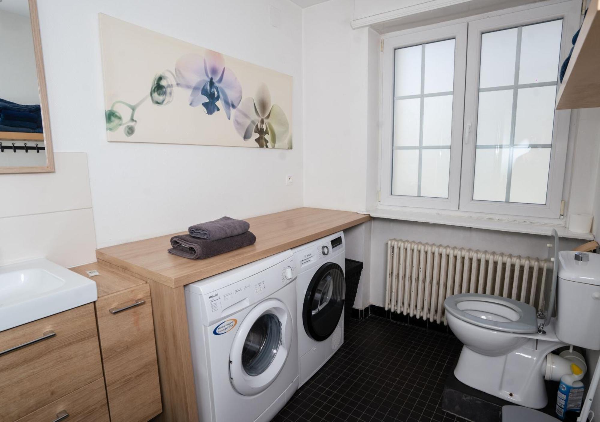 Charmant Appartement Avec Terrasse Dans Villa Strasbourg Eksteriør billede